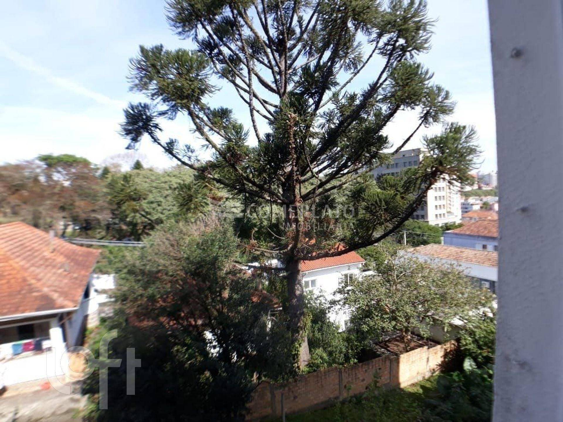 Imagem da propriedade 17