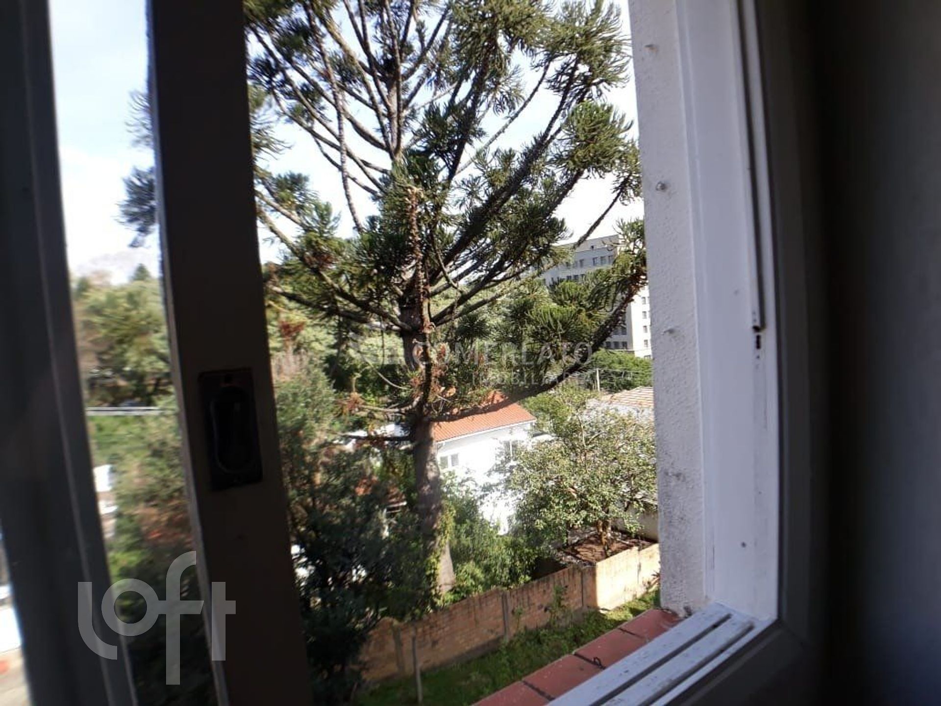 Imagem da propriedade 27