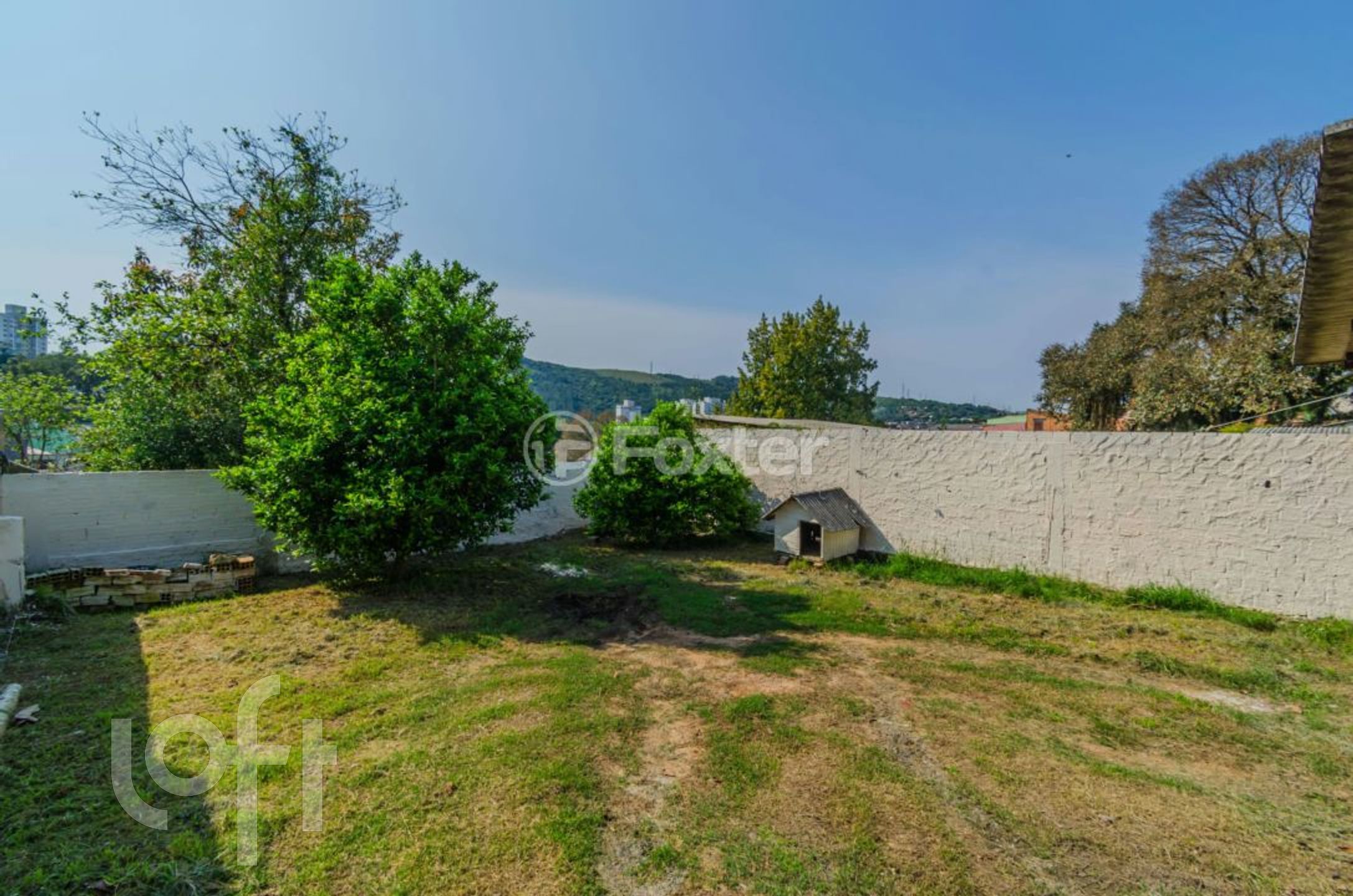 Imagem da propriedade 29