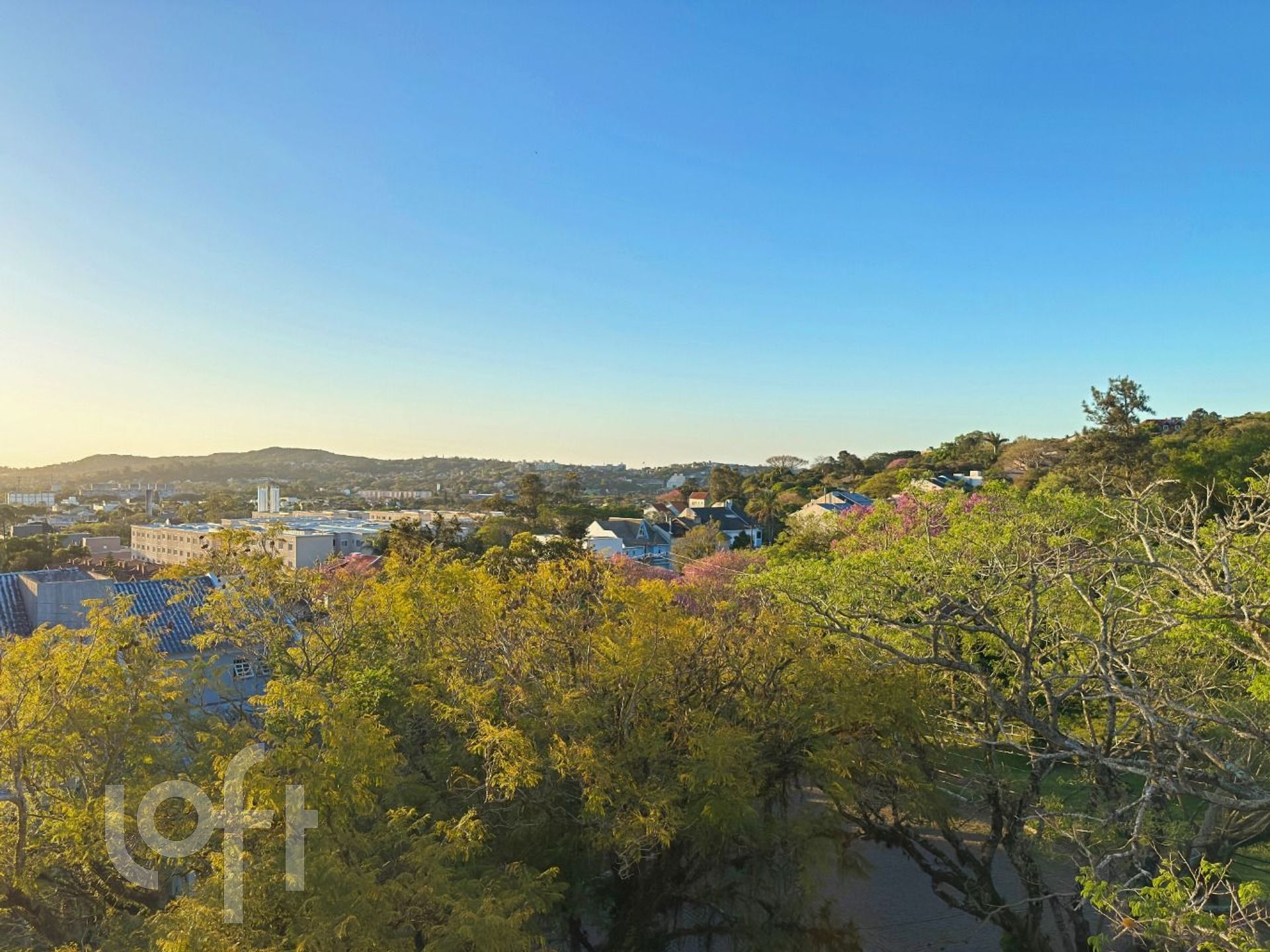 Imagem da propriedade 49