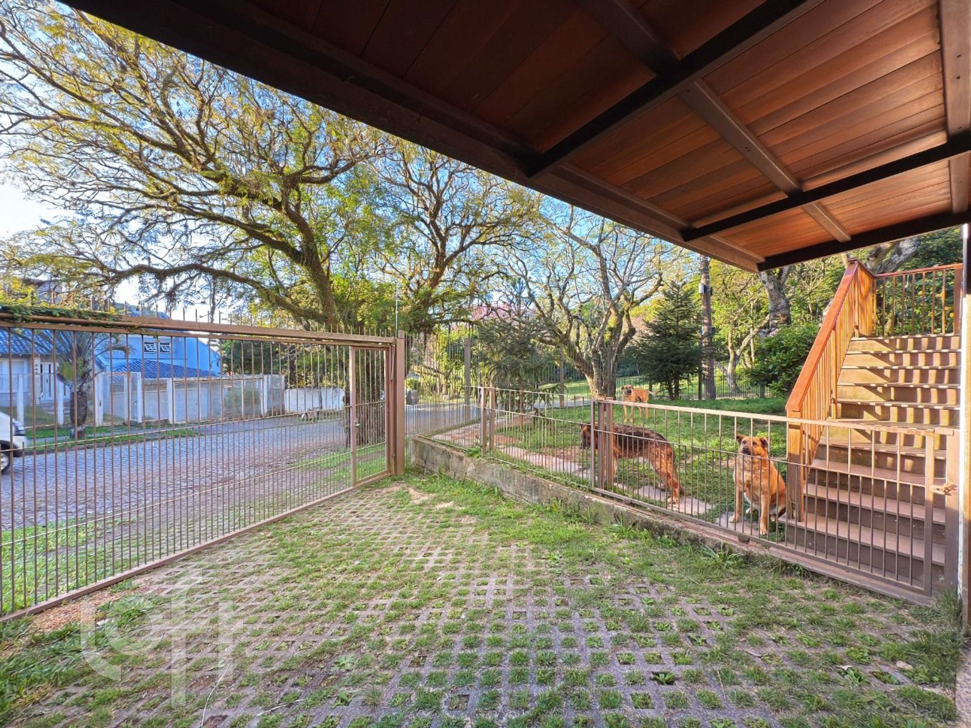 Imagem da propriedade 56