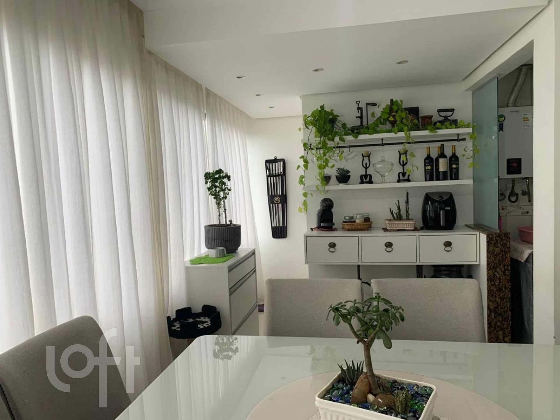 Imagem da propriedade 3