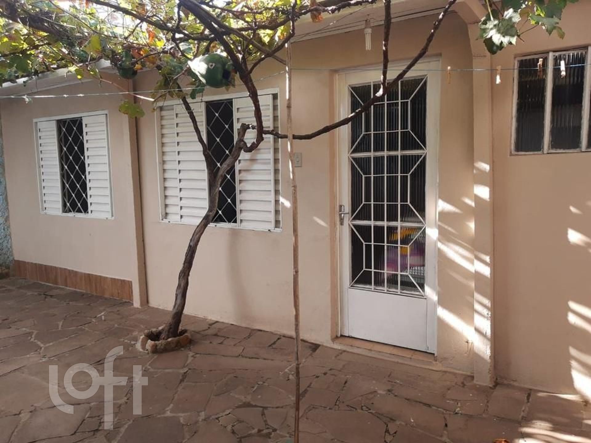 Imagem da propriedade 18