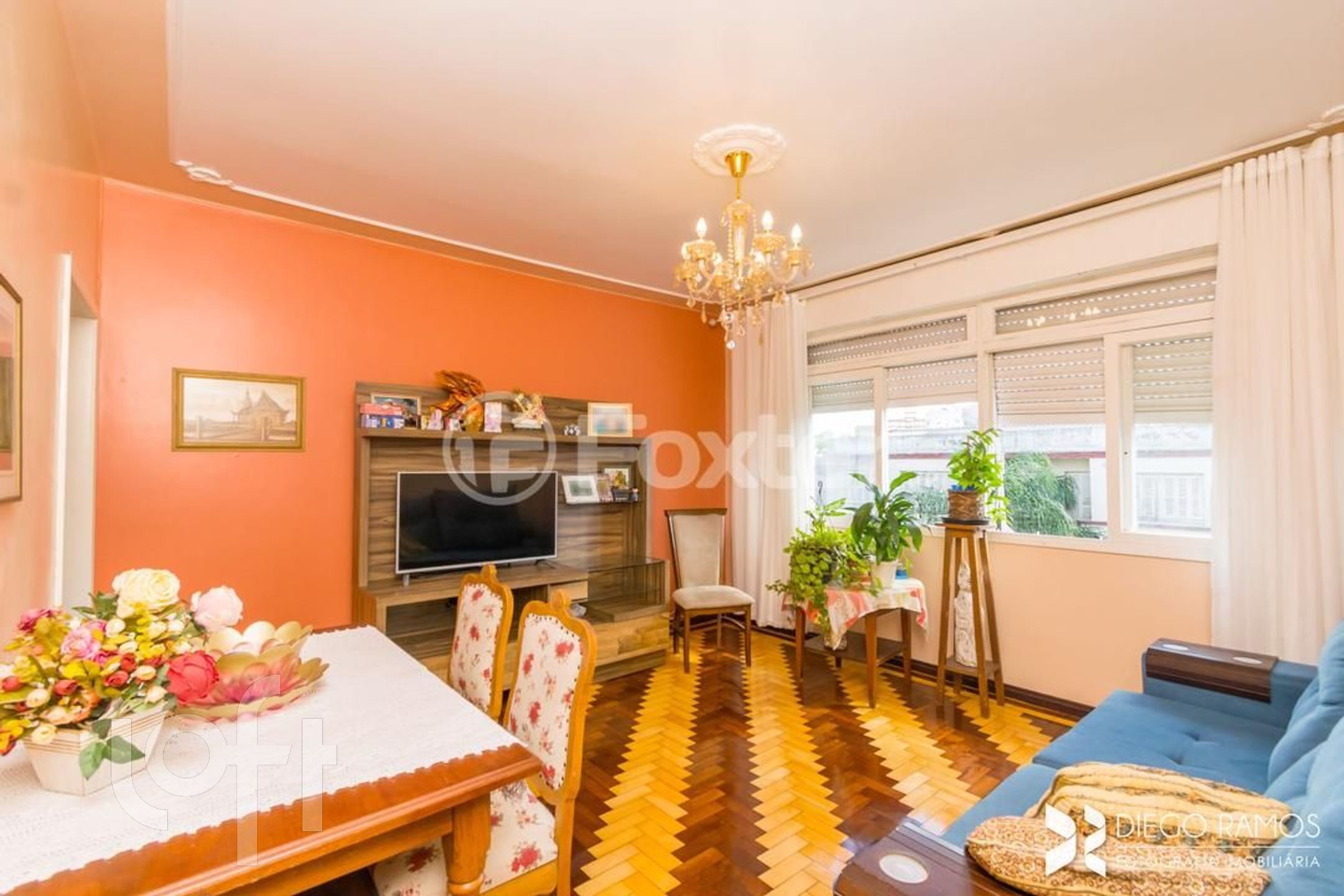 Imagem da propriedade 3