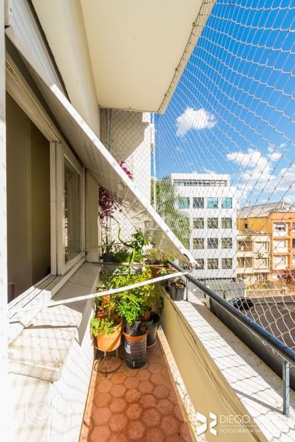 Imagem da propriedade 11