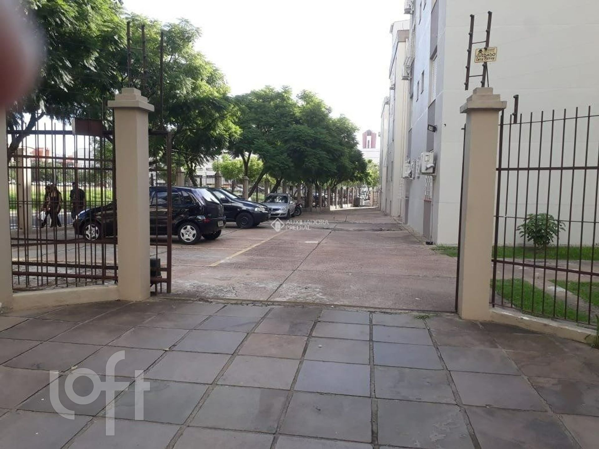 Imagem da propriedade 15