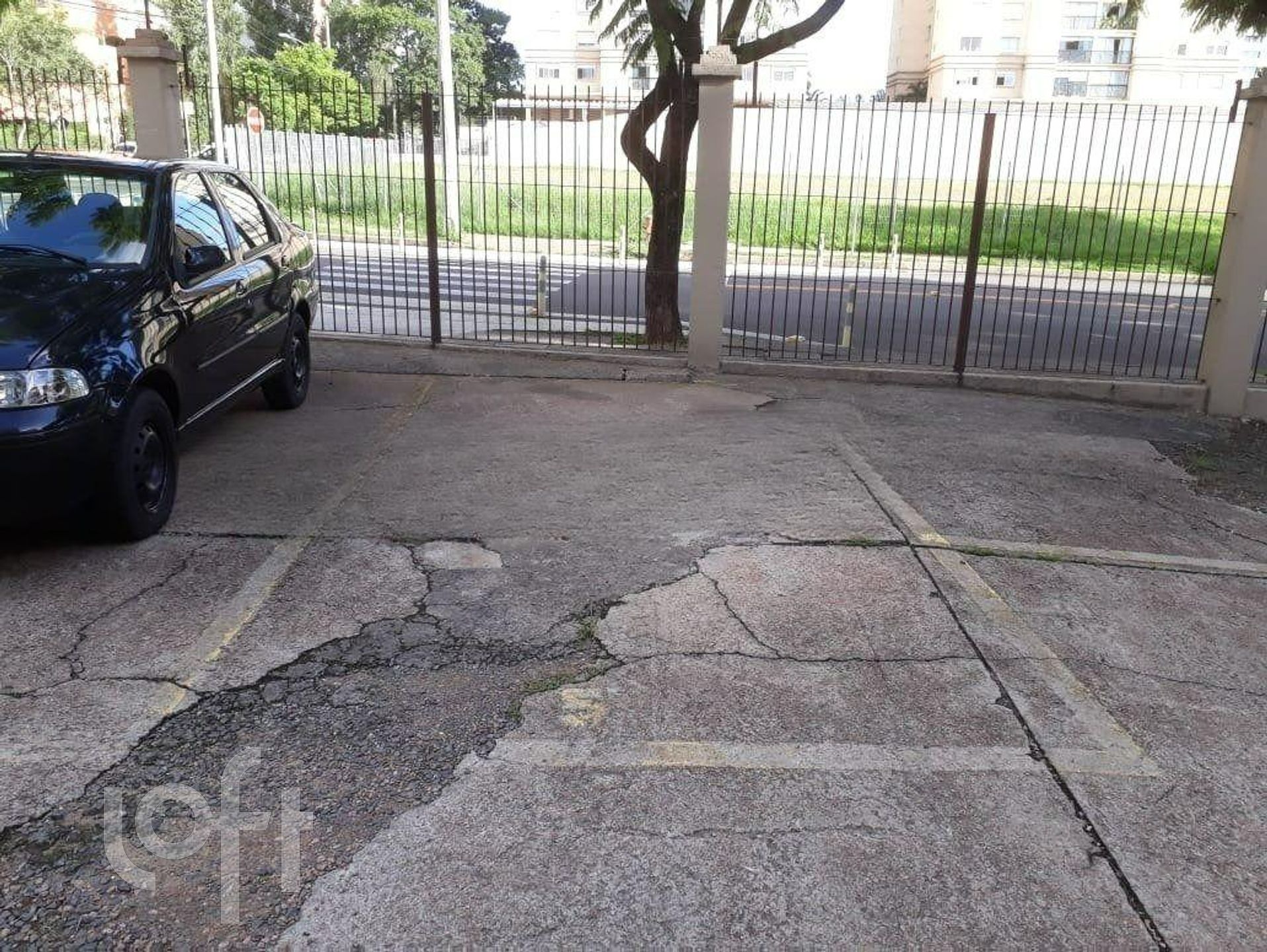 Imagem da propriedade 16