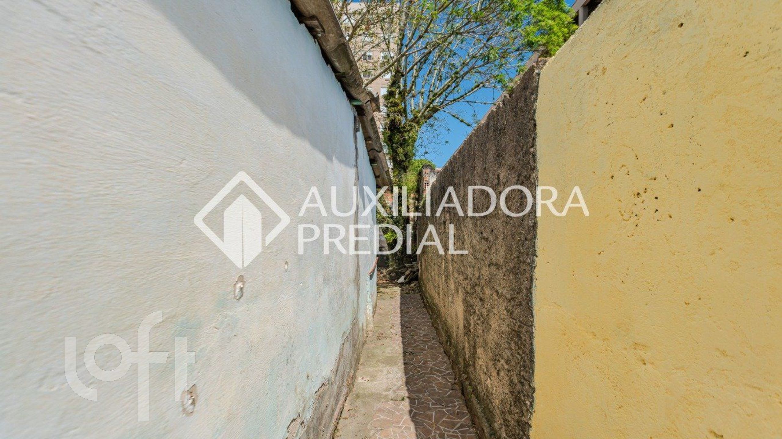 Imagem da propriedade 28