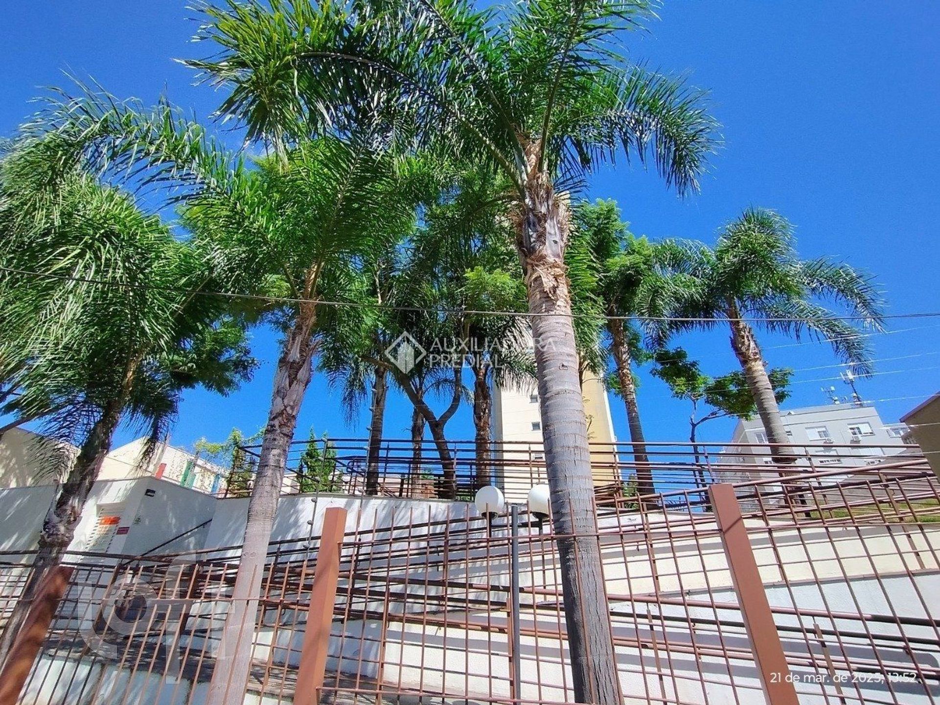 Imagem da propriedade 13