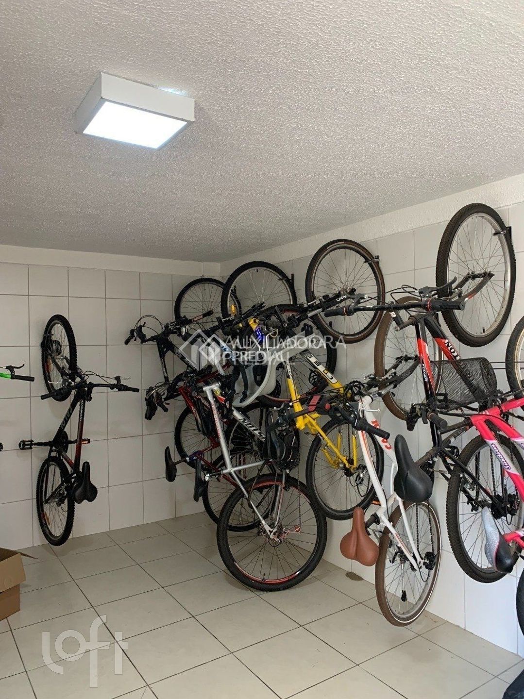 Imagem da propriedade 22