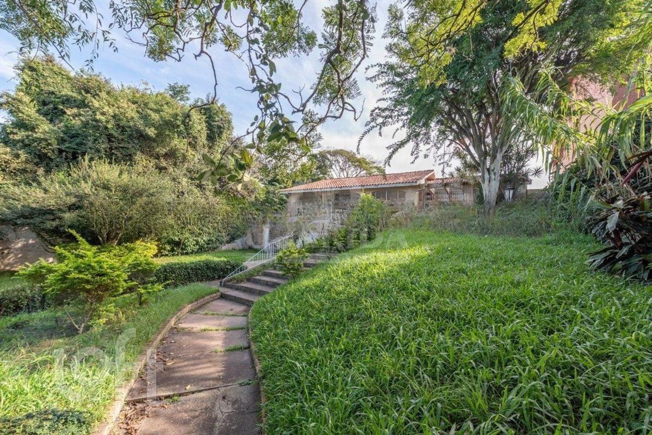 Imagem da propriedade 21