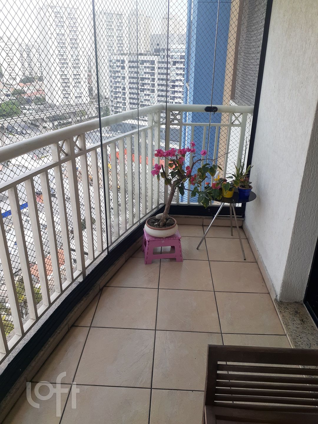 Imagem da propriedade 6