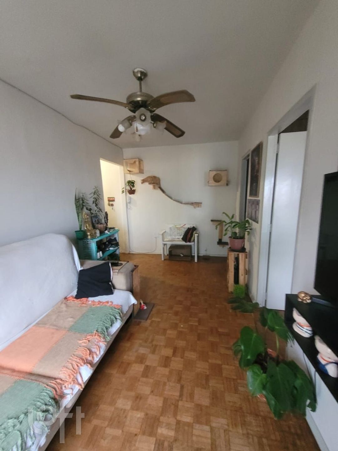 Imagem da propriedade 2