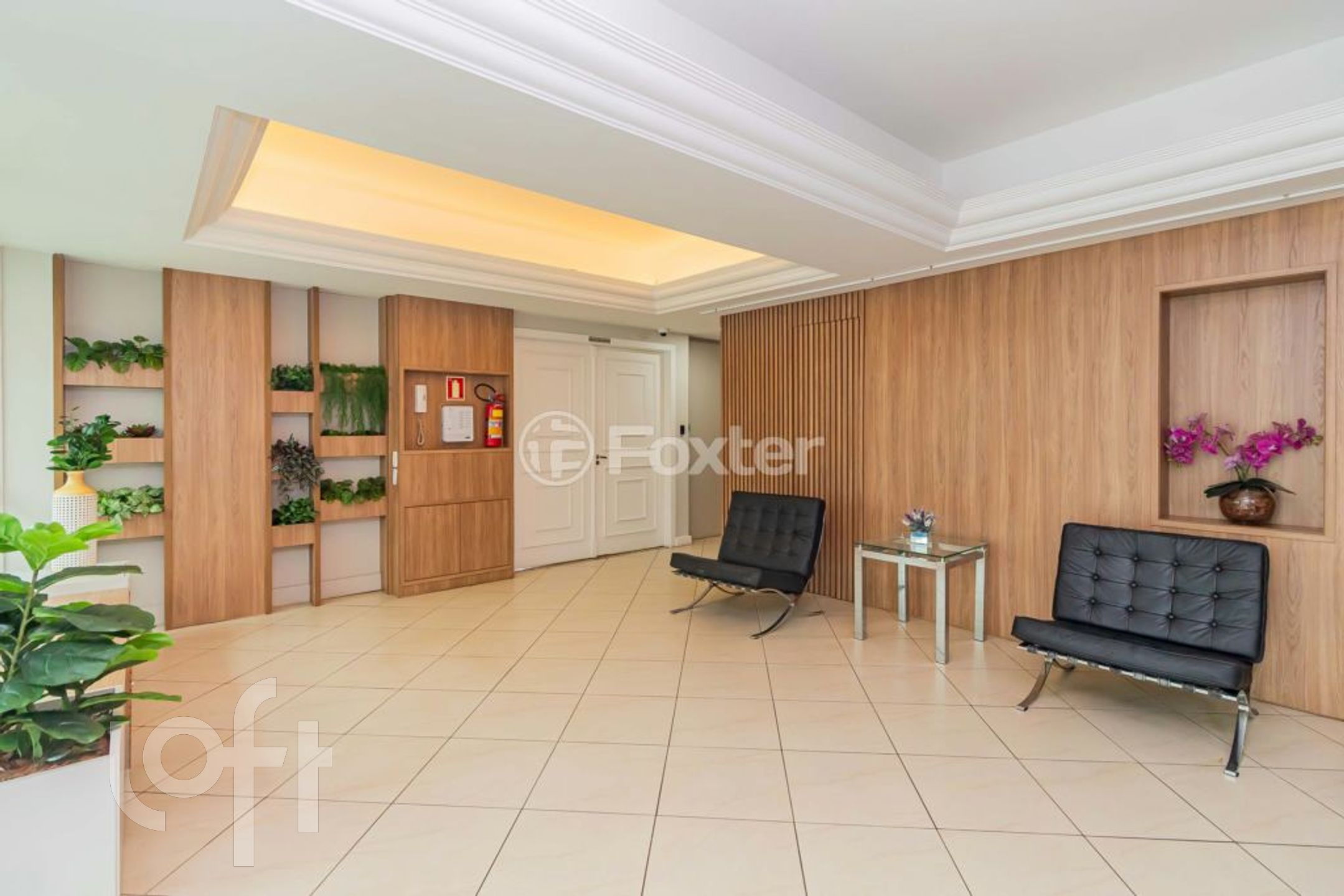 Imagem da propriedade 36