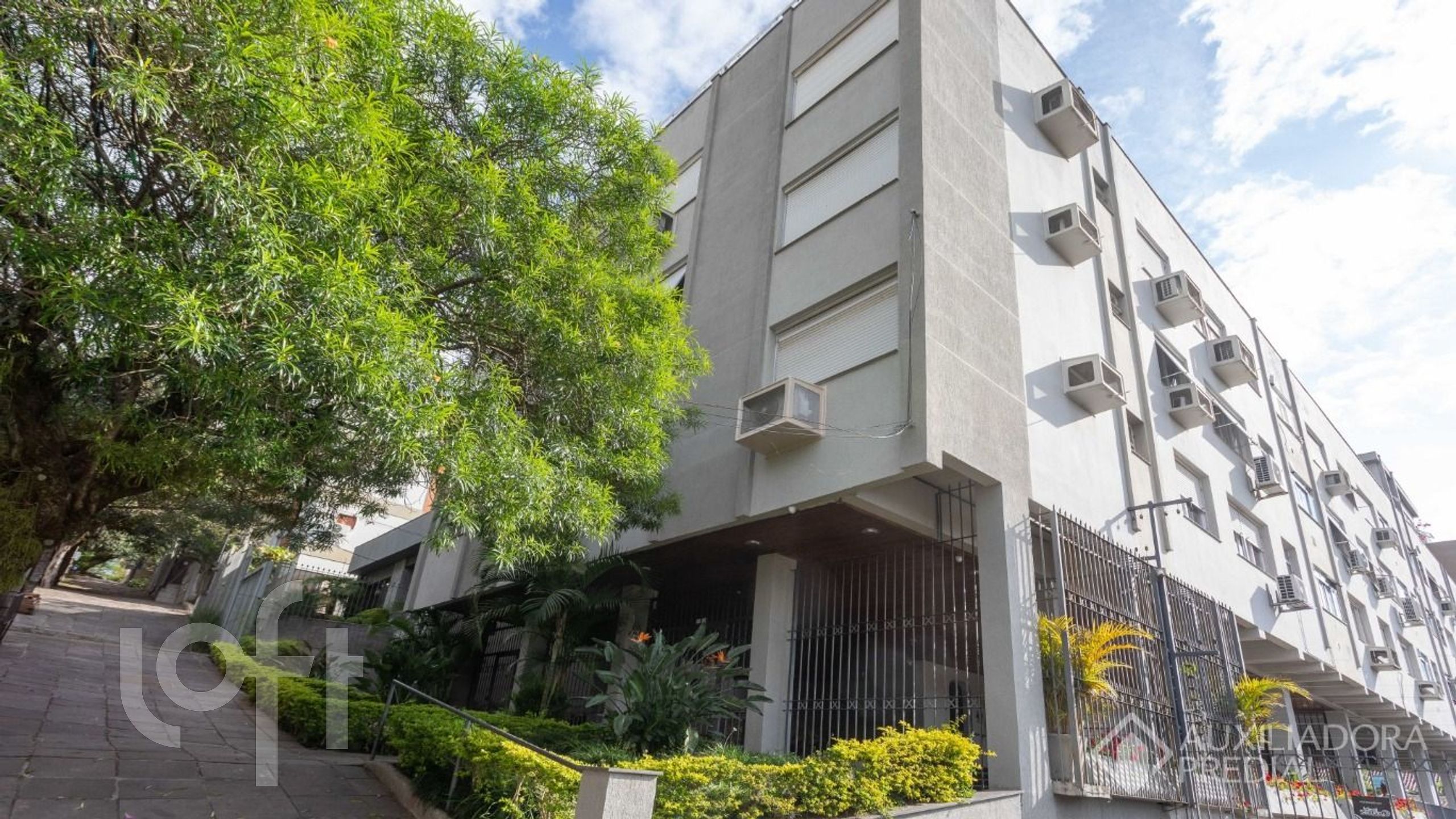 Imagem da propriedade 33