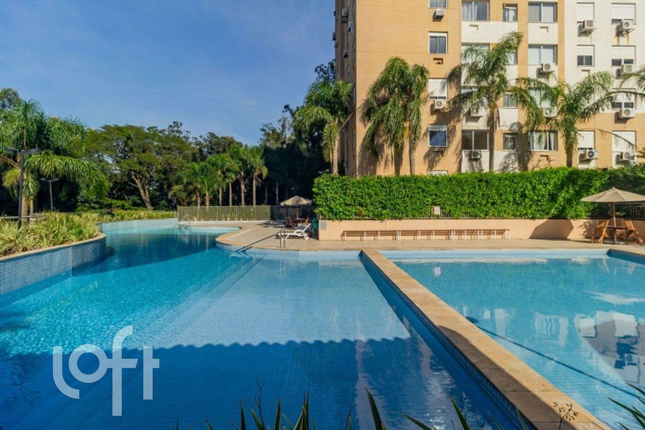 Imagem da propriedade 61