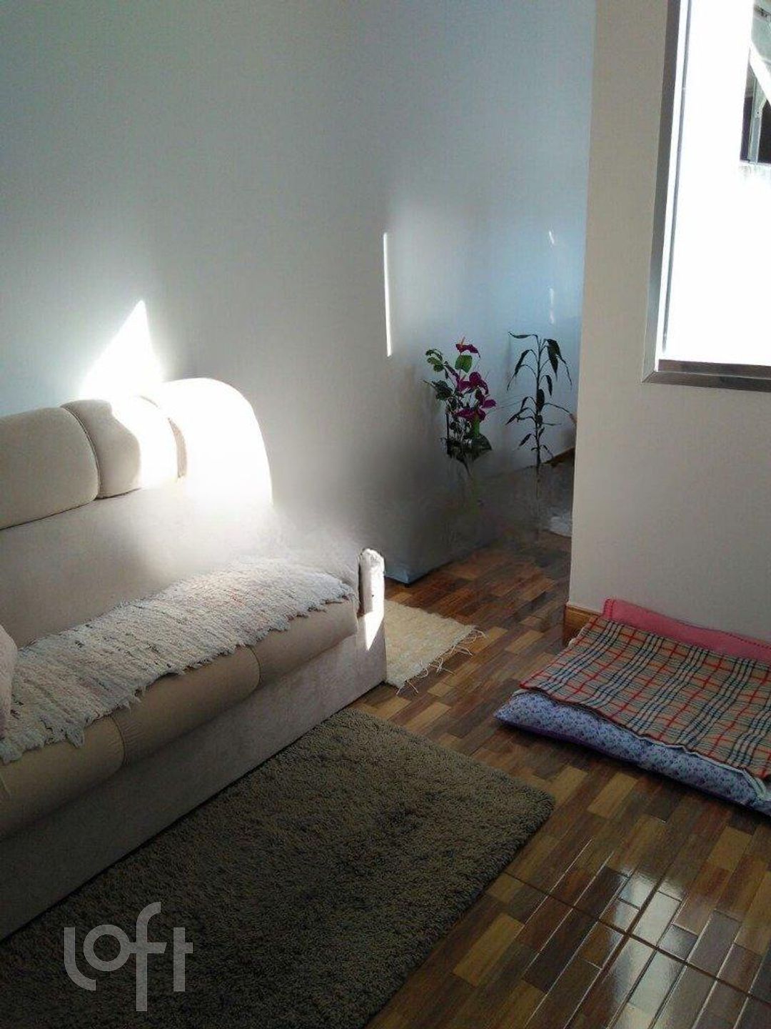 Imagem da propriedade 5