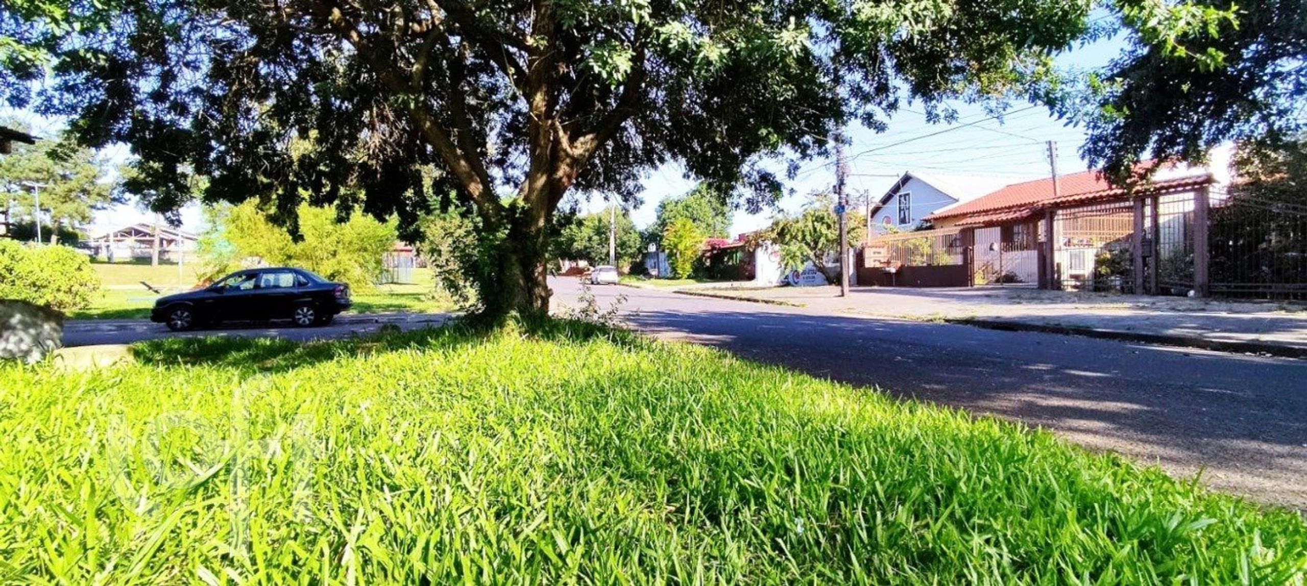 Imagem da propriedade 7