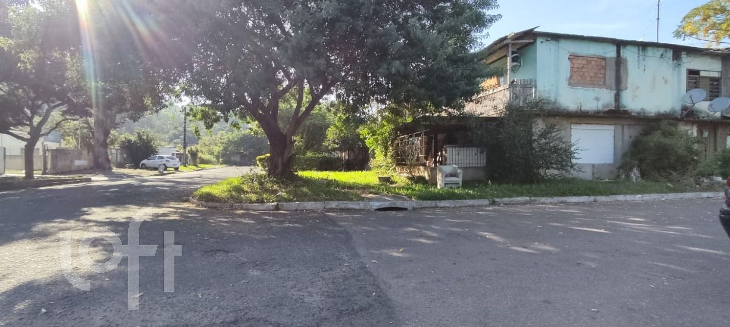 Imagem da propriedade 11