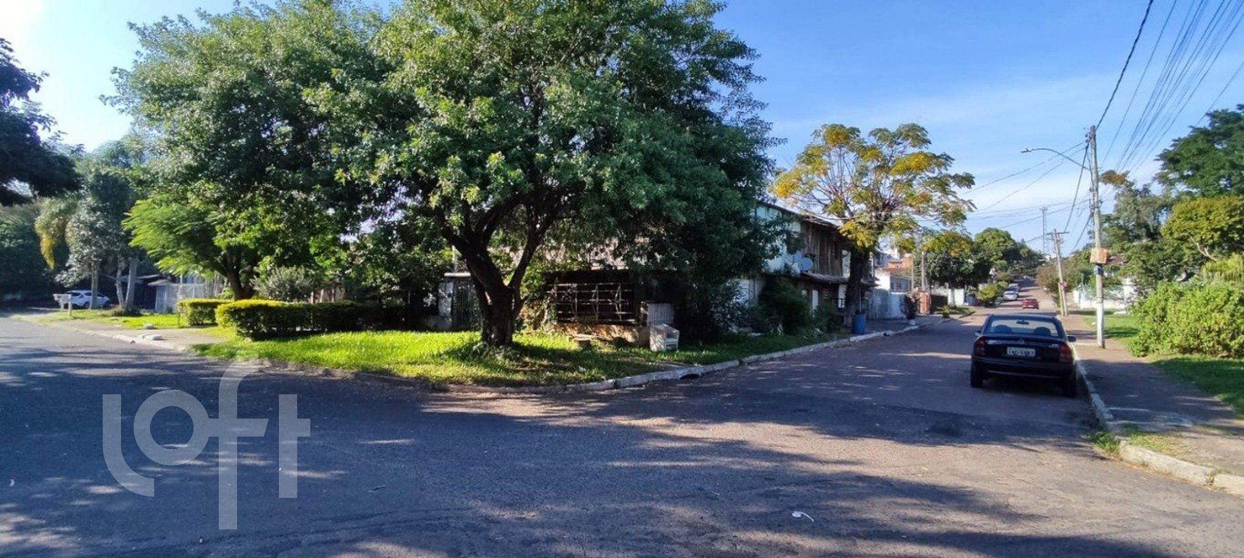 Imagem da propriedade 12