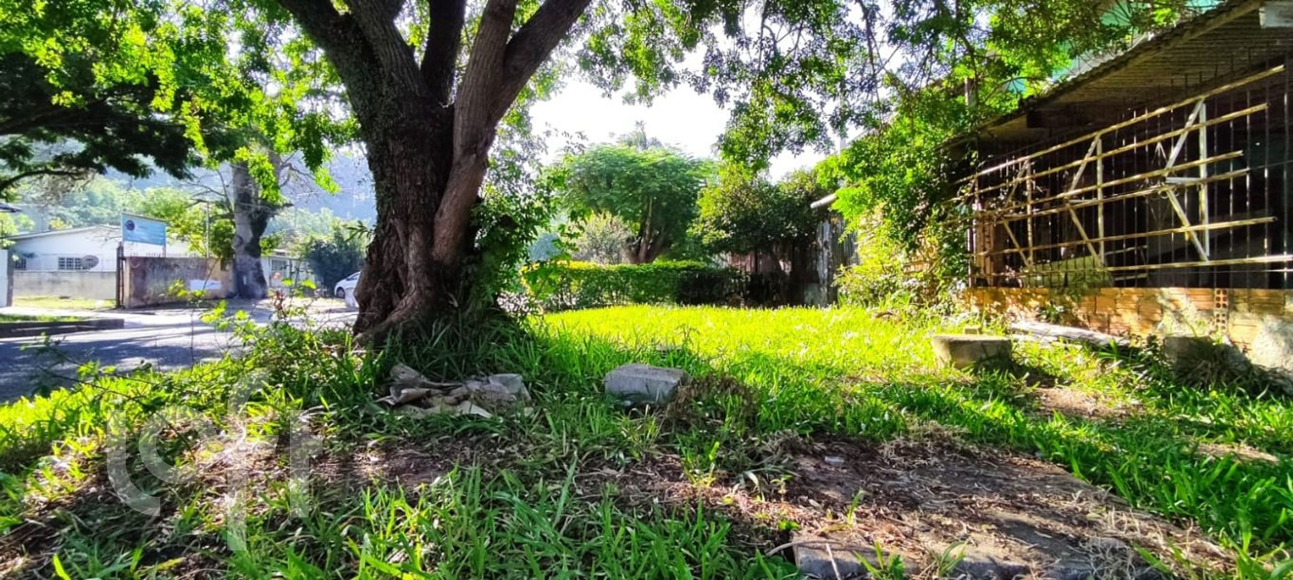 Imagem da propriedade 9