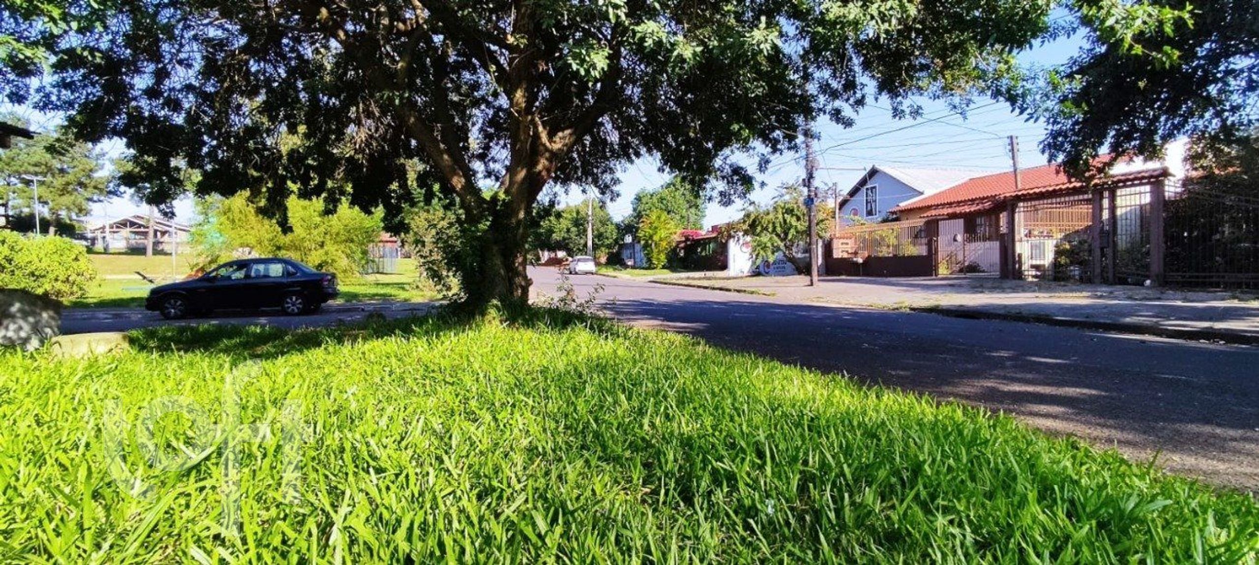 Imagem da propriedade 6