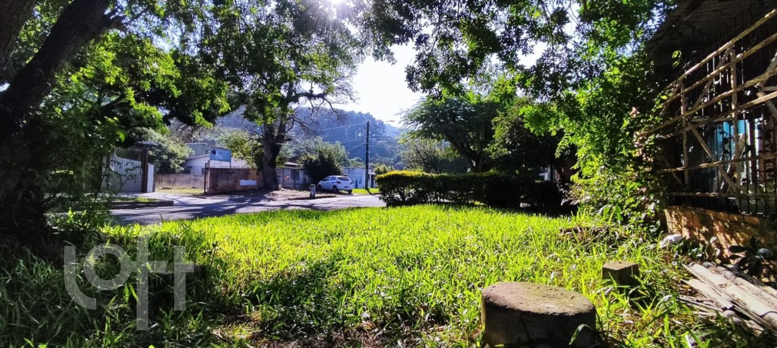 Imagem da propriedade 8