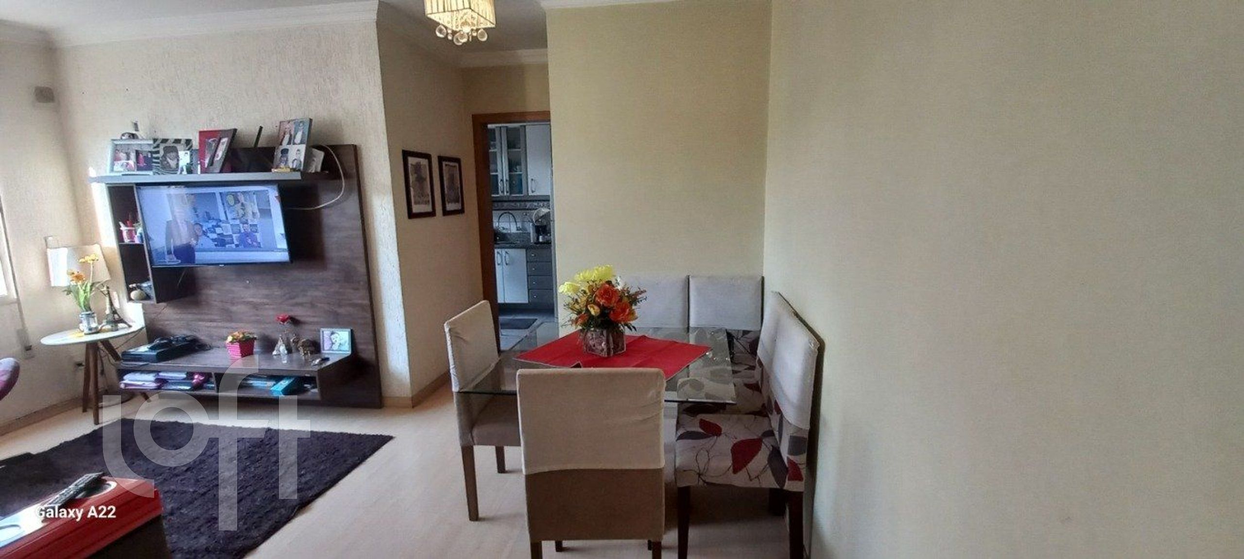 Imagem da propriedade 5