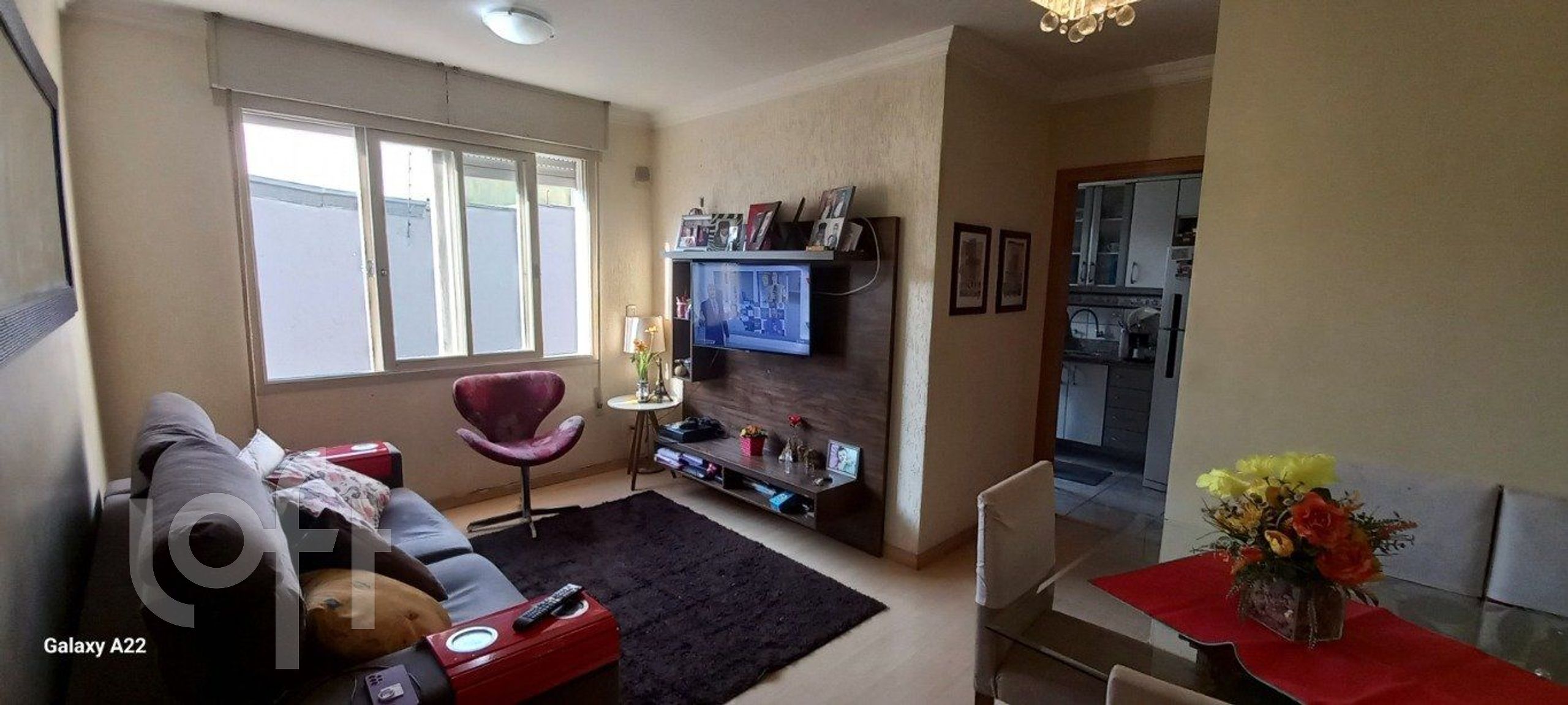 Imagem da propriedade 3