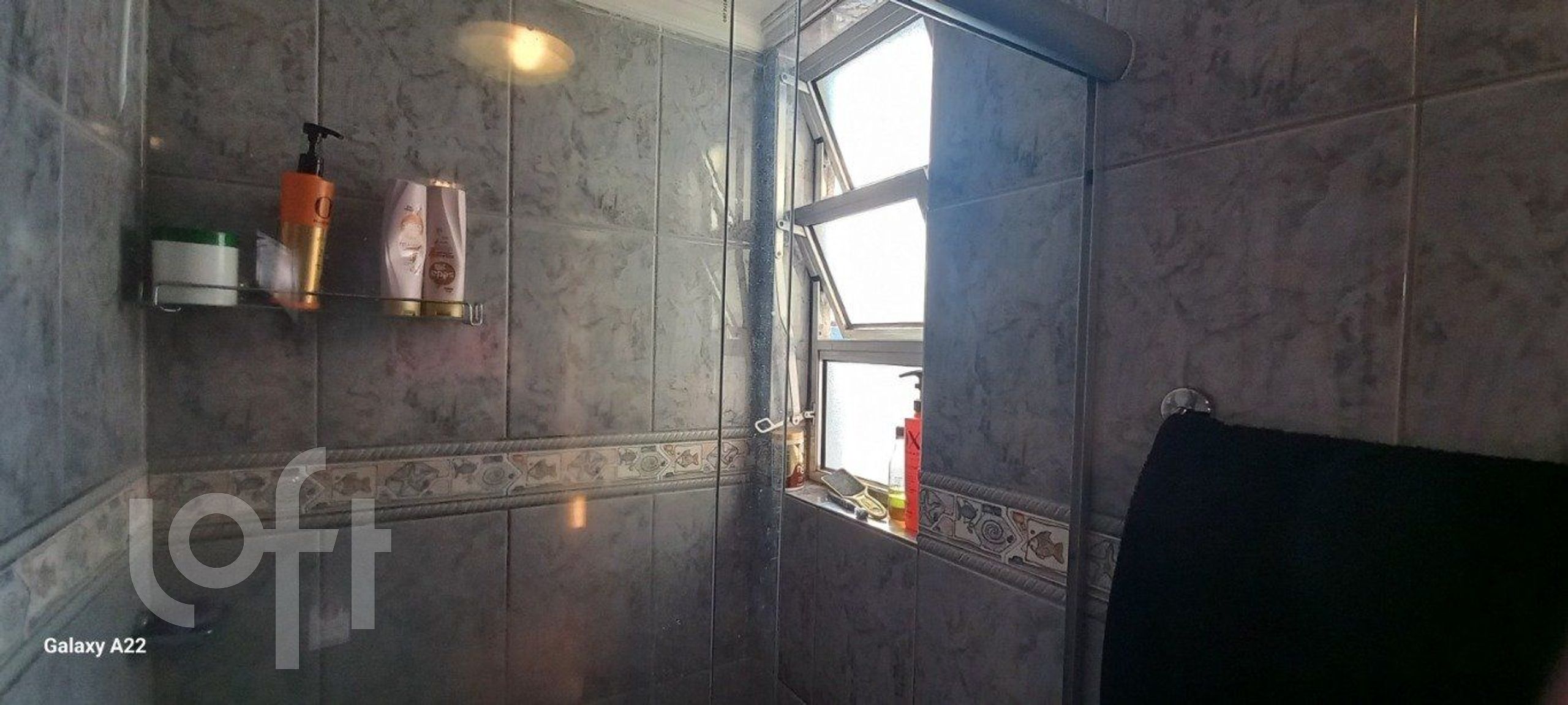 Imagem da propriedade 11