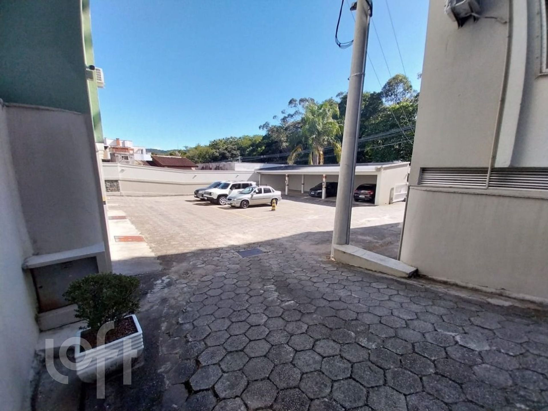 Imagem da propriedade 3