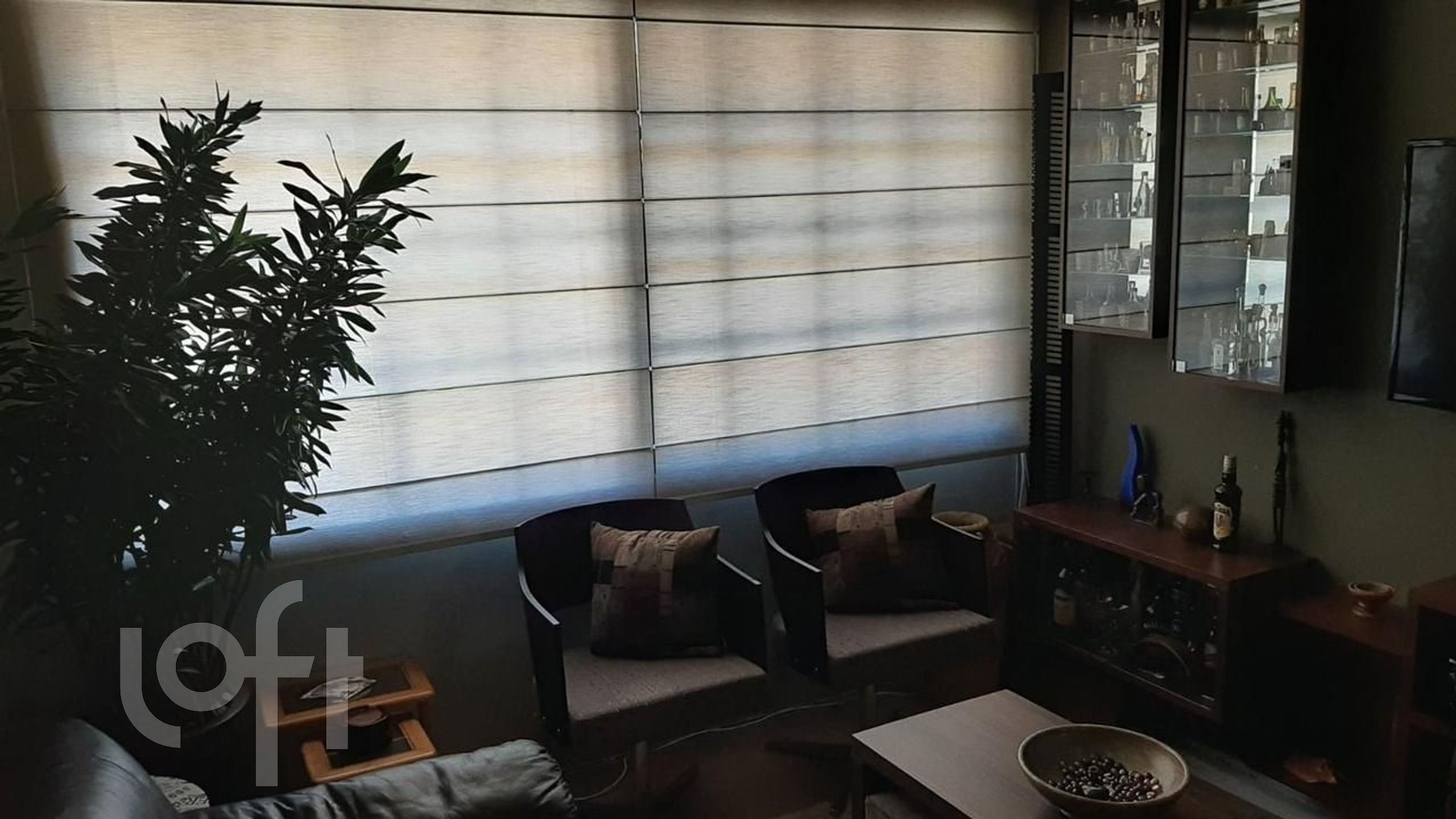 Imagem da propriedade 4