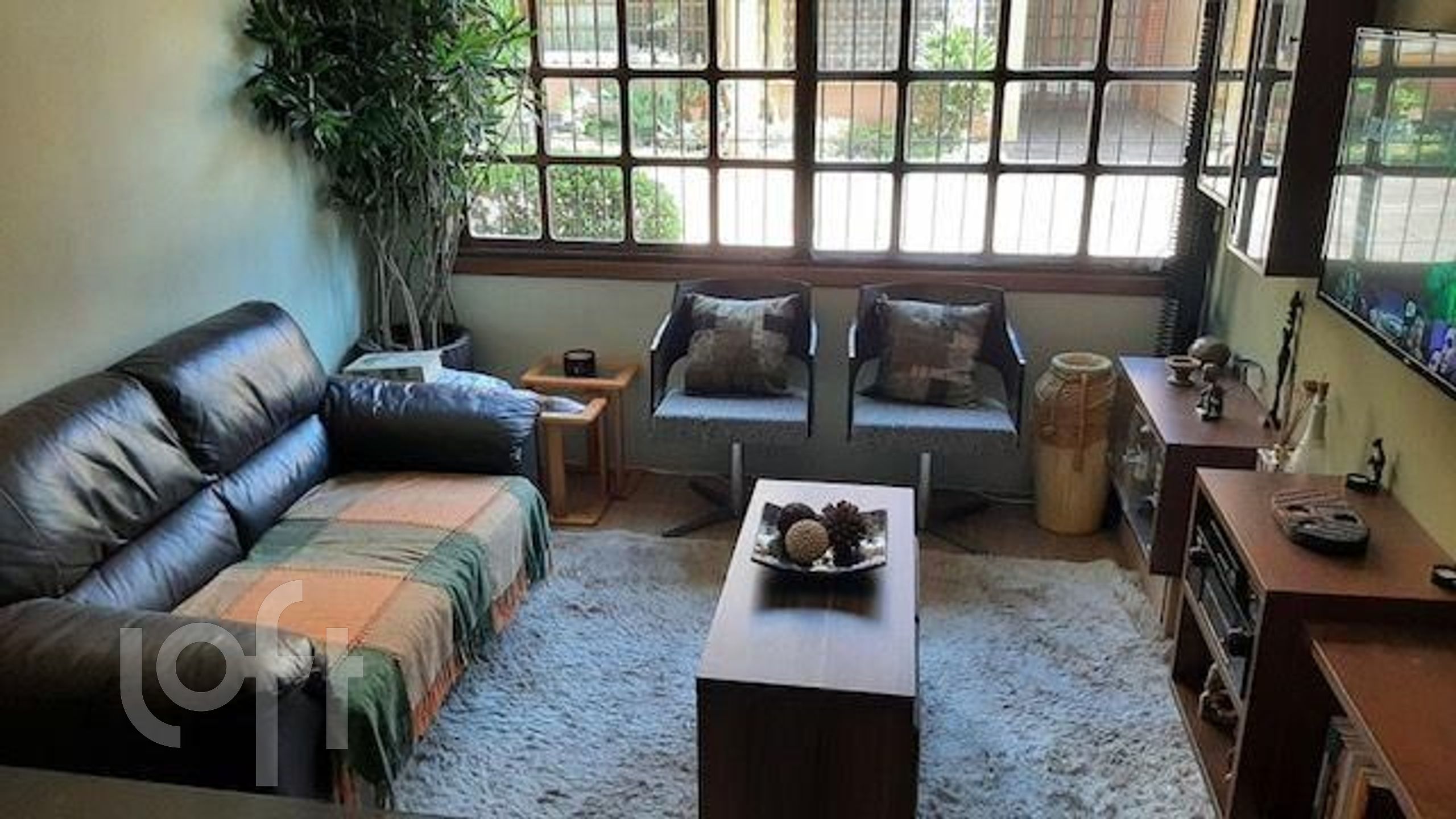 Imagem da propriedade 3