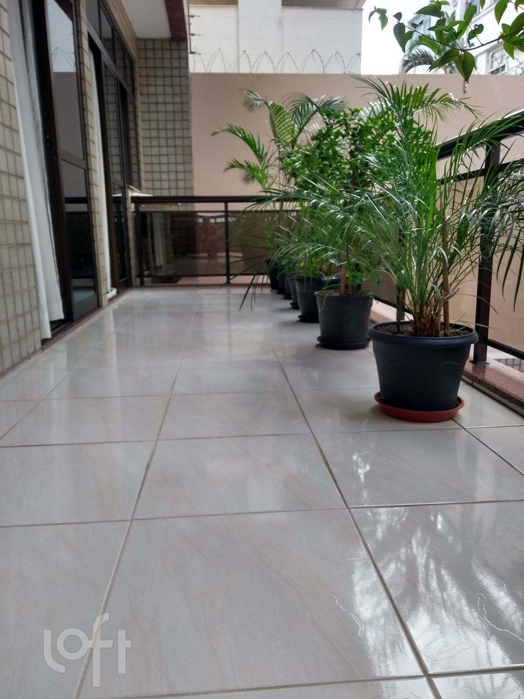 Imagem da propriedade 4