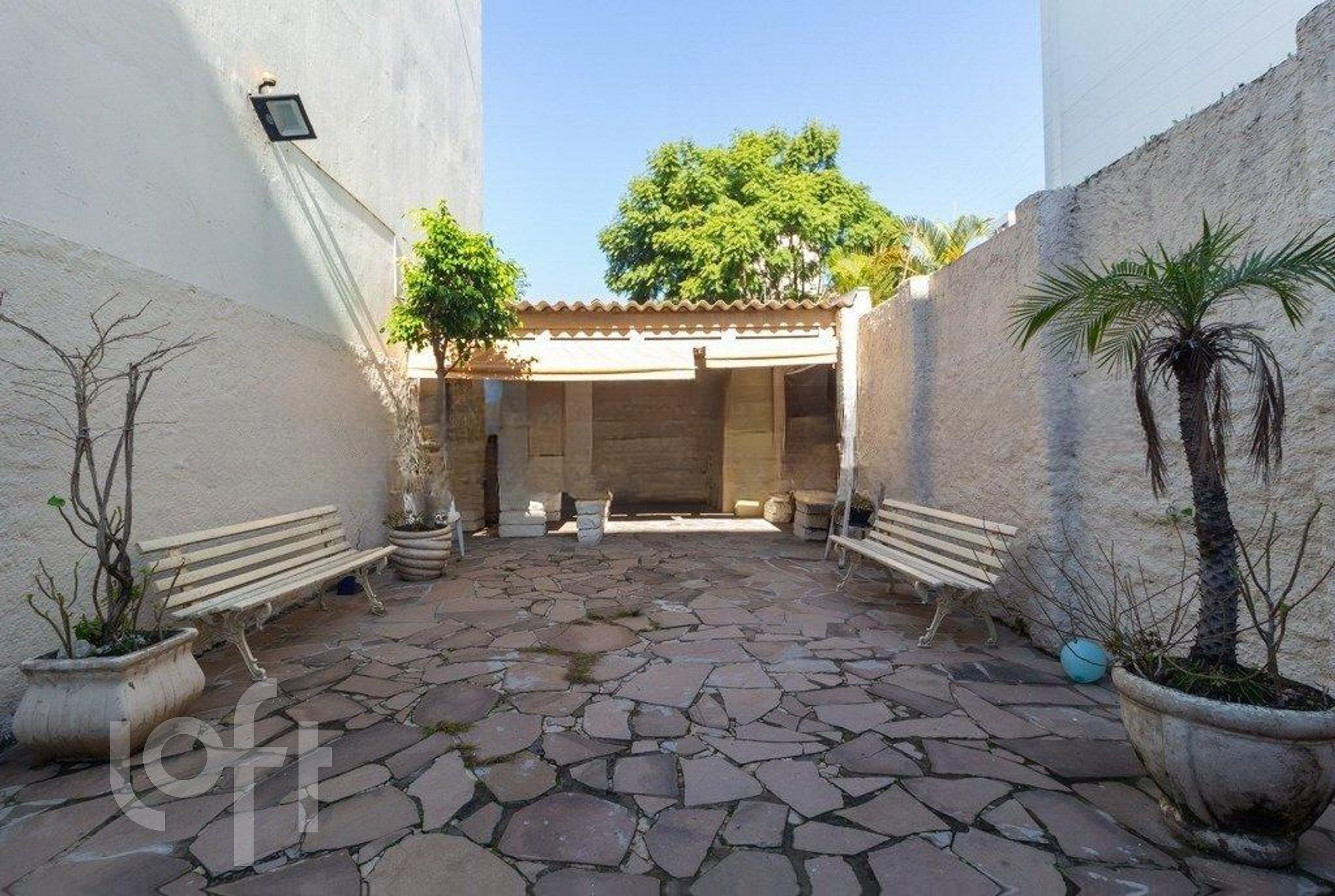 Imagem da propriedade 18