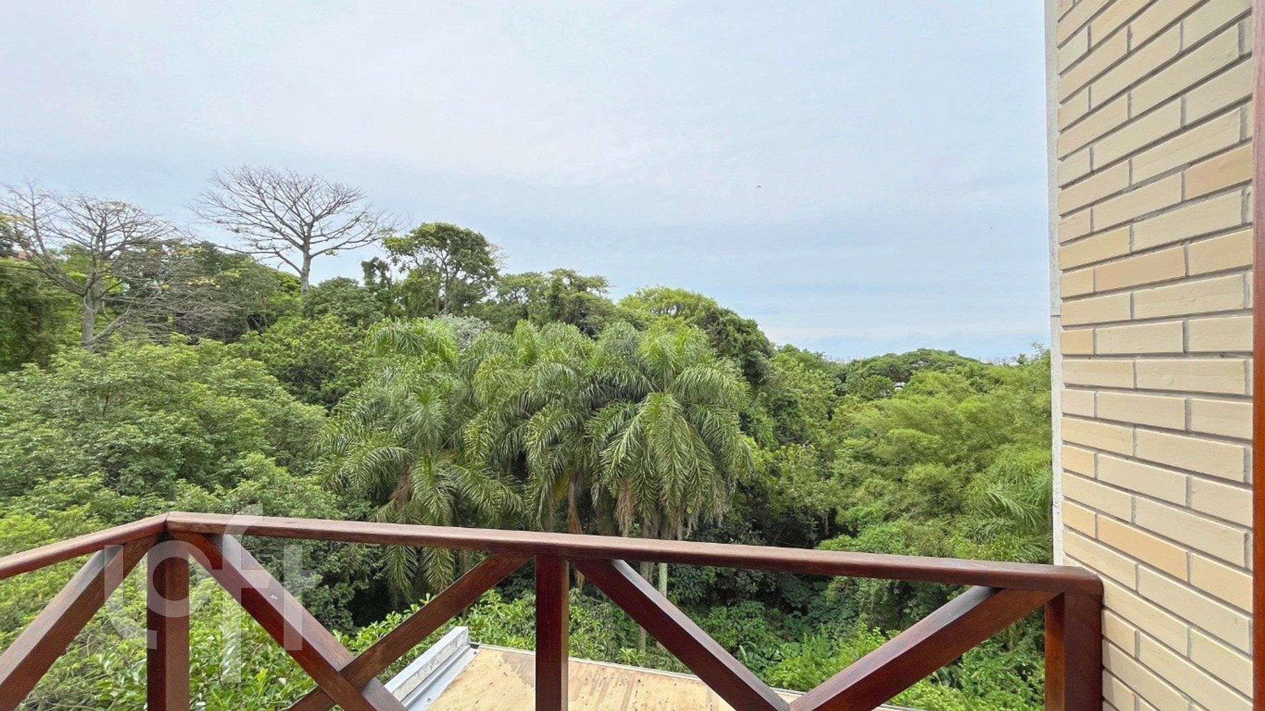 Imagem da propriedade 15