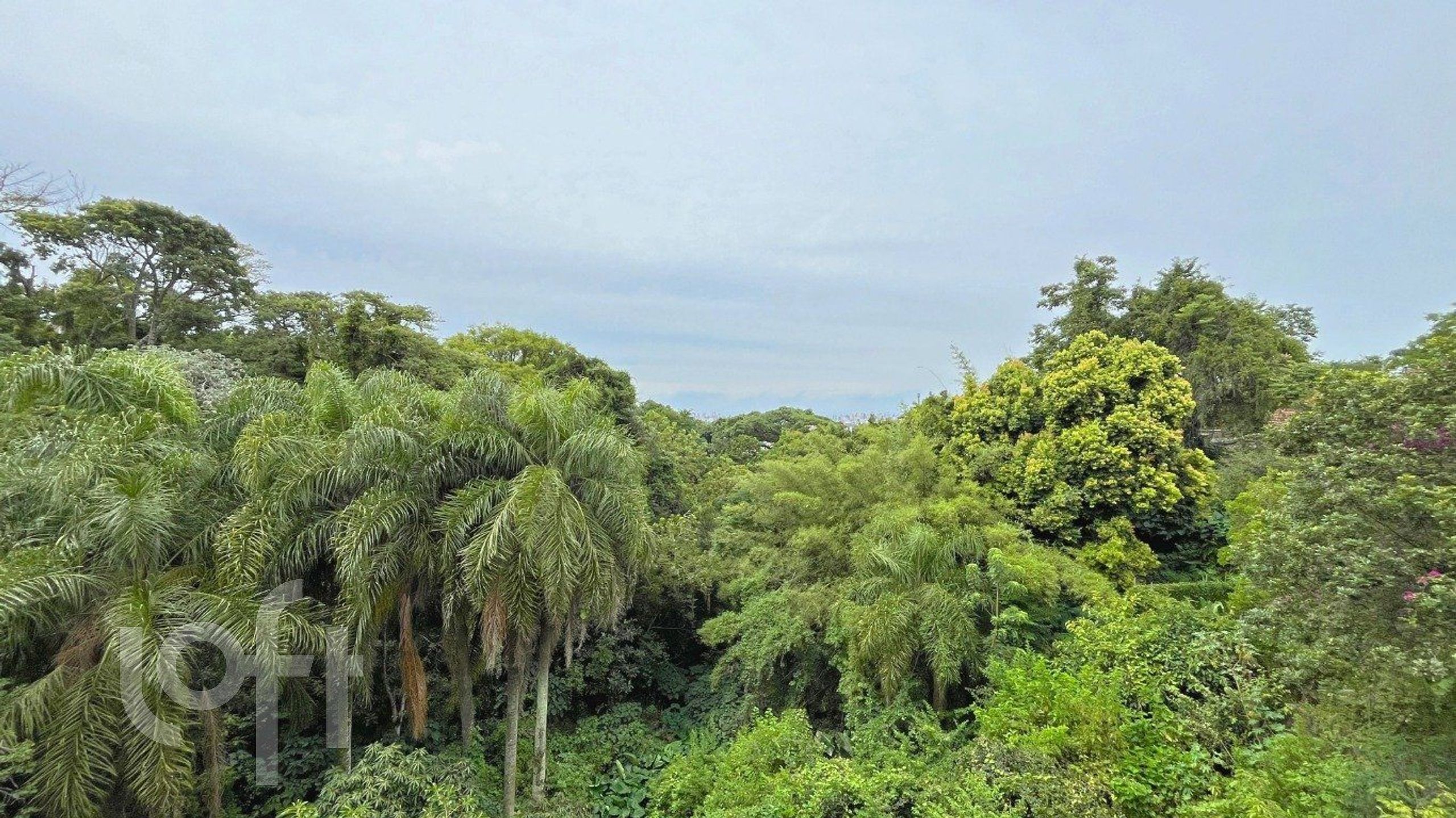 Imagem da propriedade 19