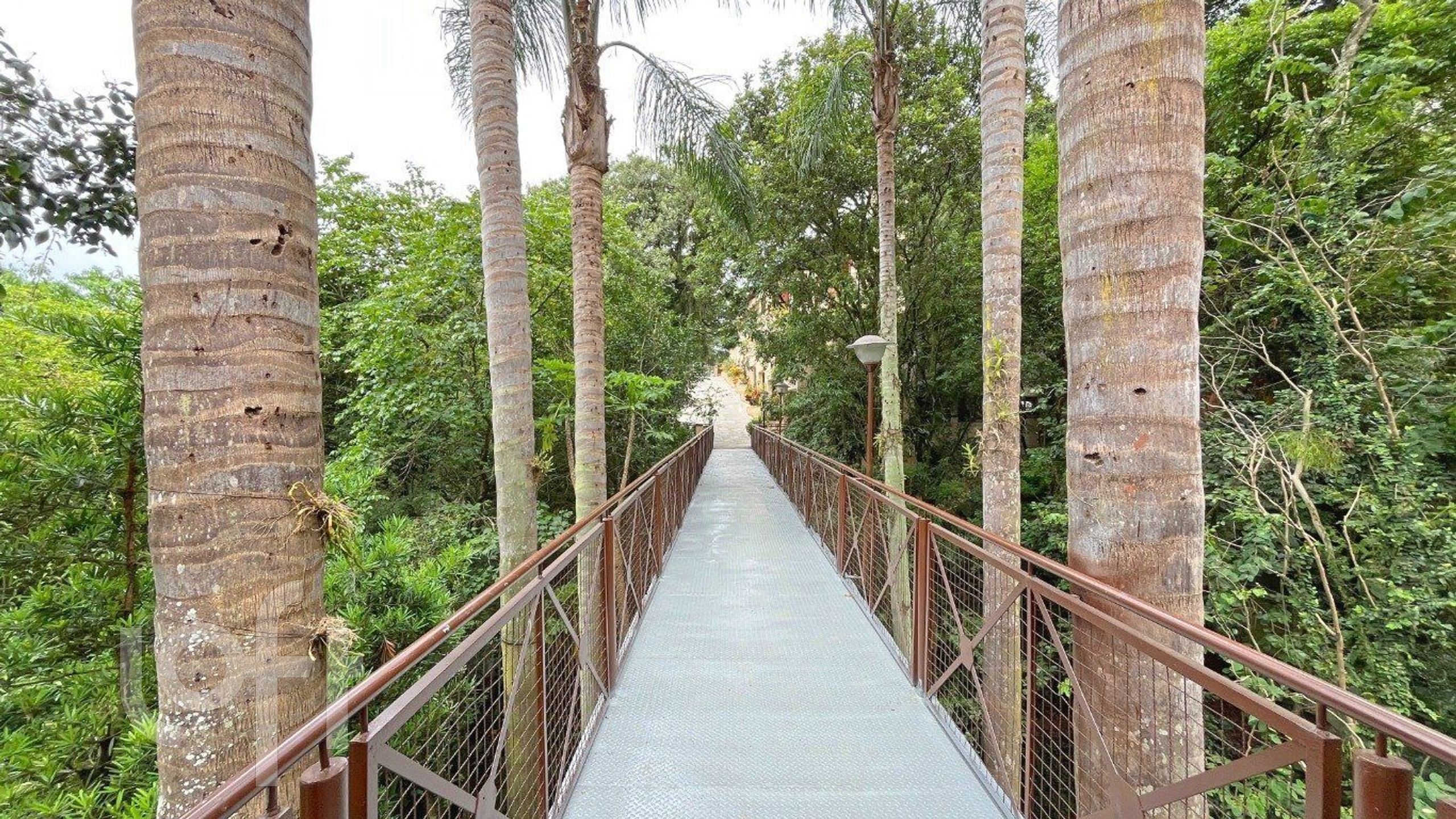 Imagem da propriedade 52