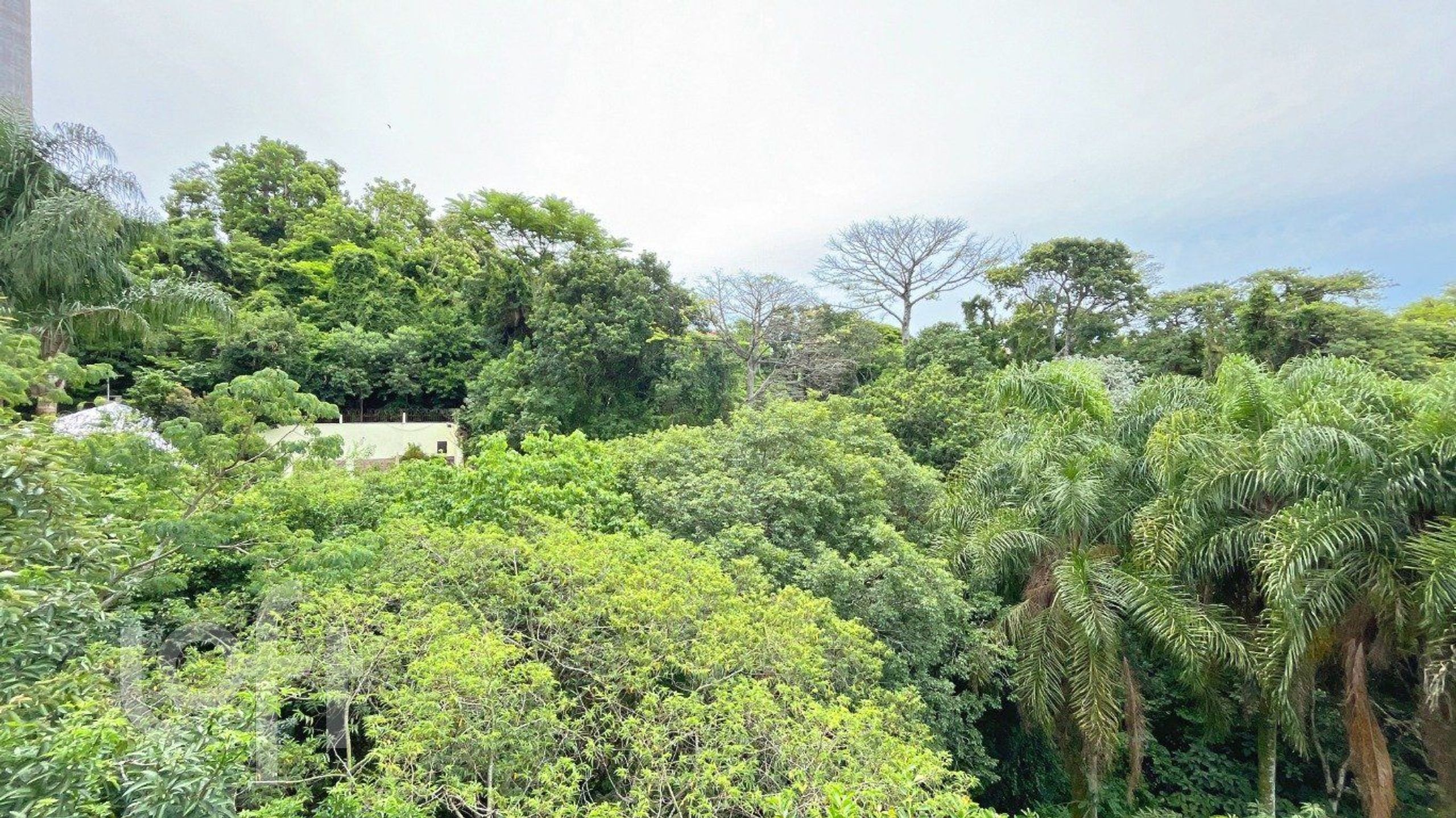 Imagem da propriedade 20