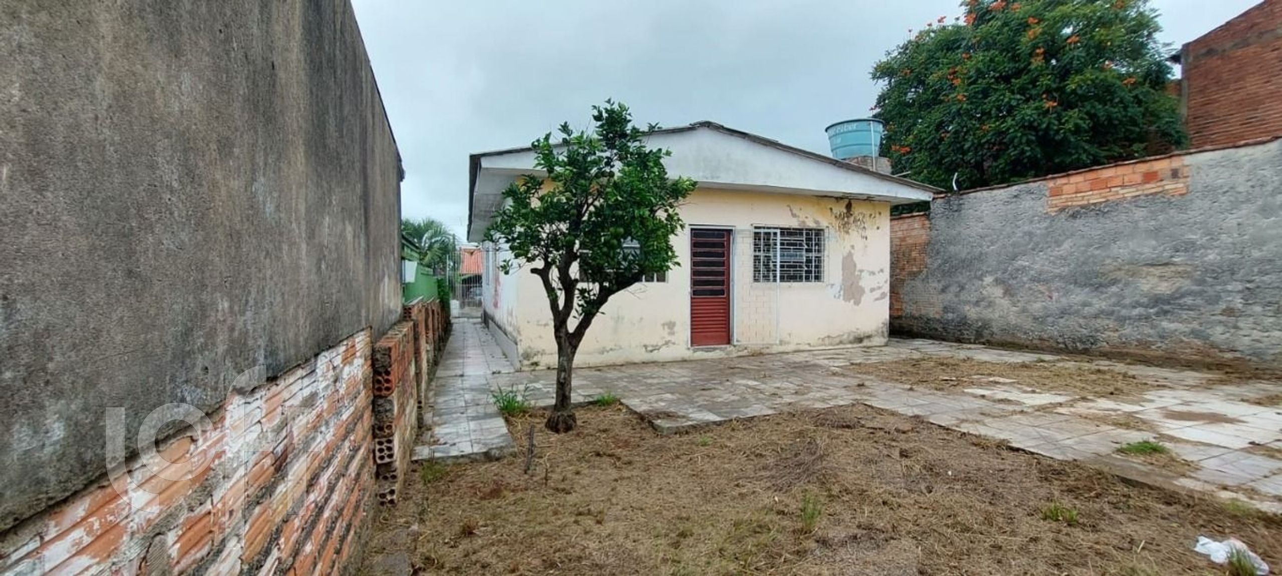 Imagem da propriedade 9