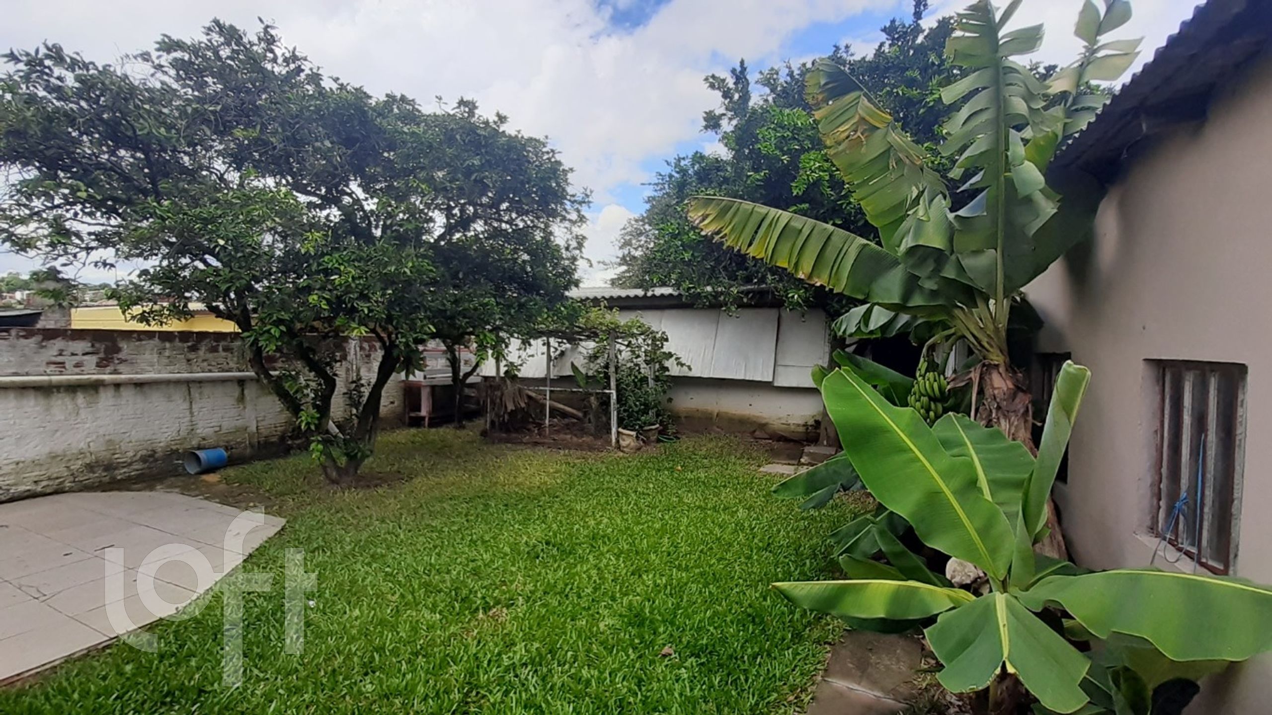 Imagem da propriedade 4