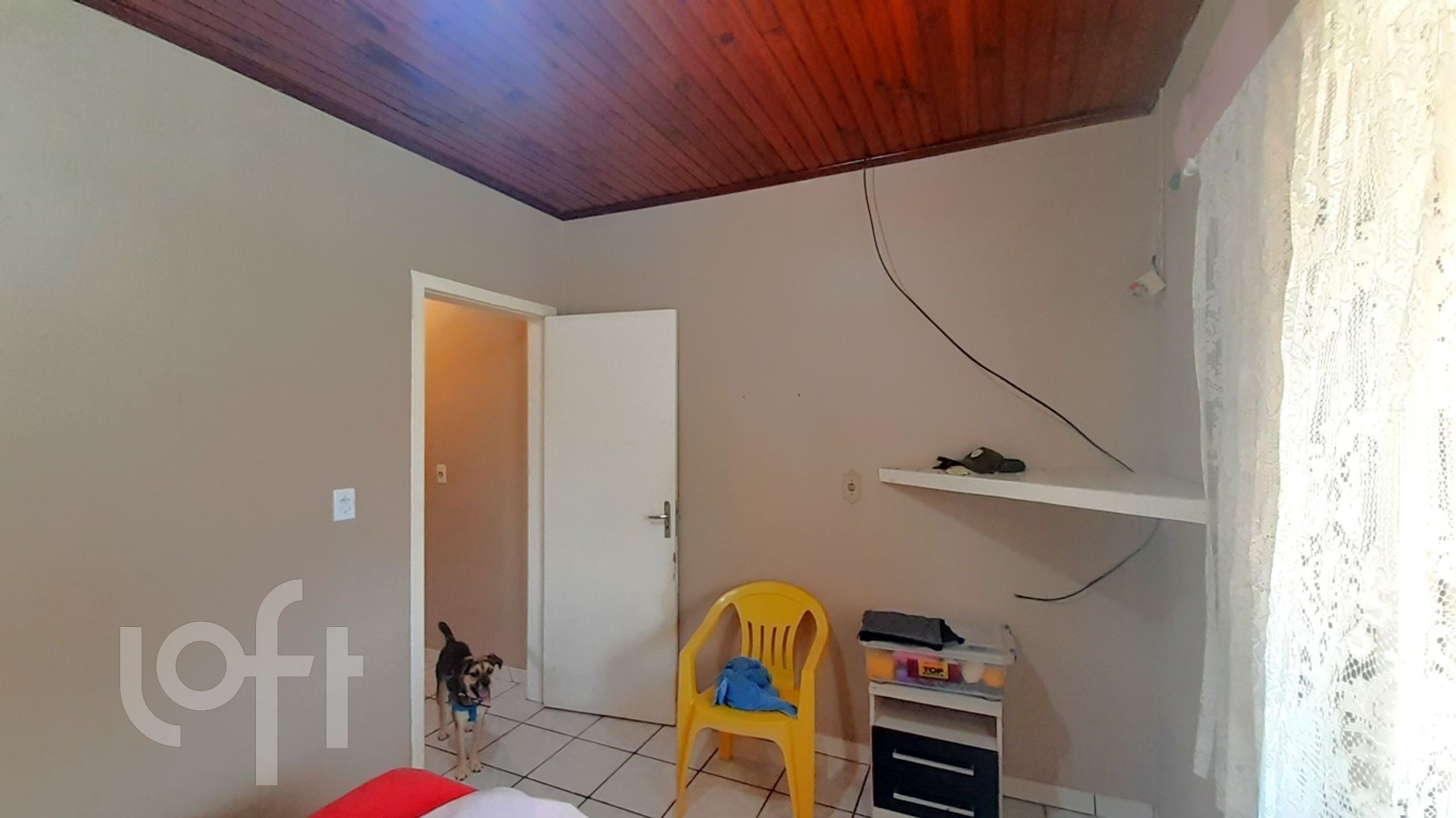 Imagem da propriedade 13