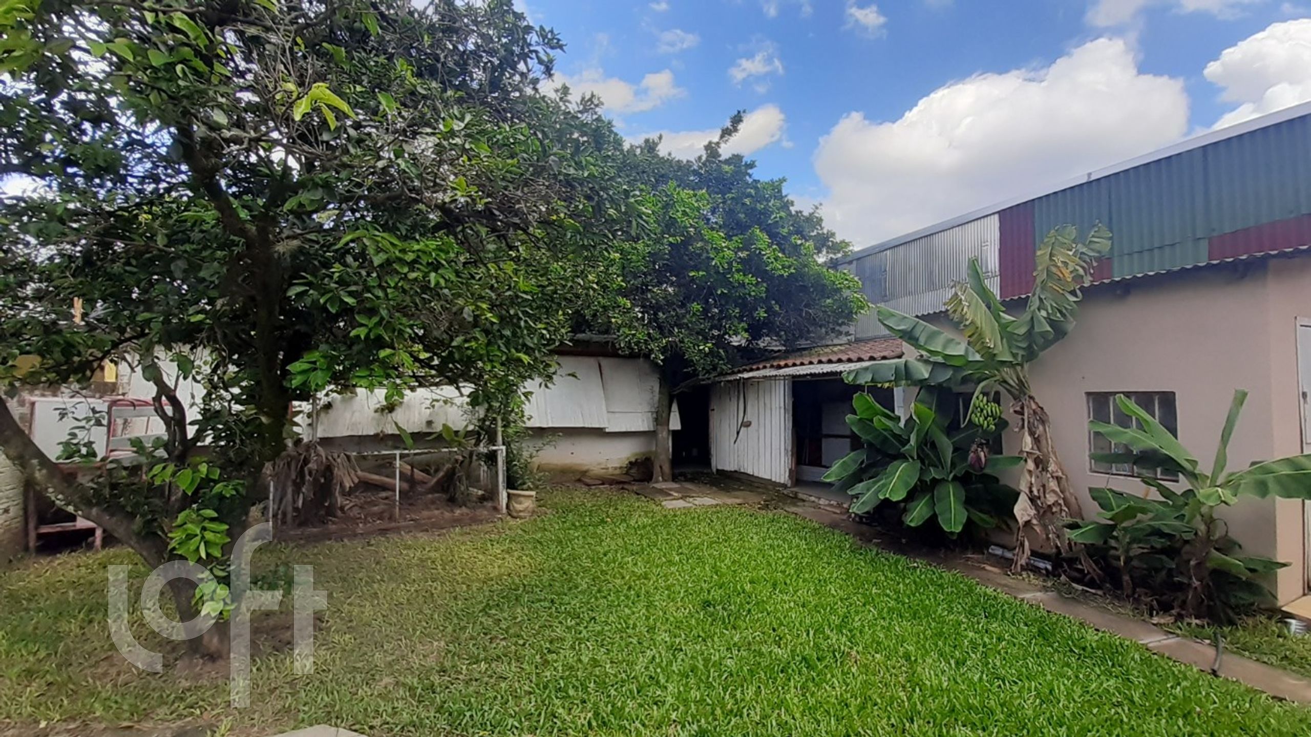 Imagem da propriedade 3