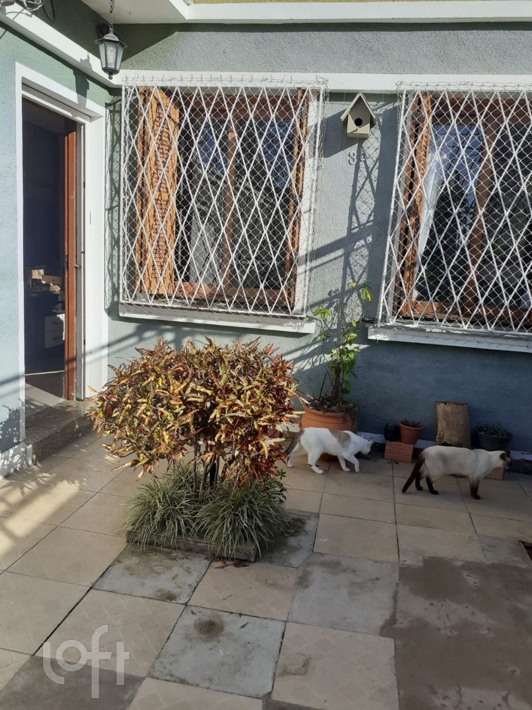 Imagem da propriedade 3