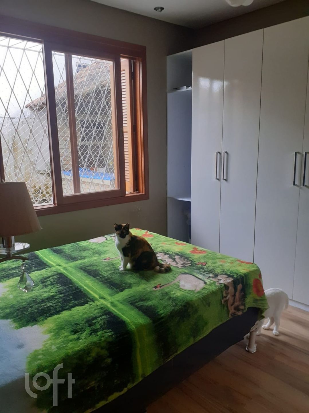 Imagem da propriedade 35