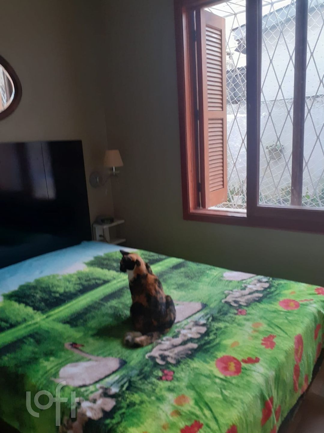 Imagem da propriedade 21