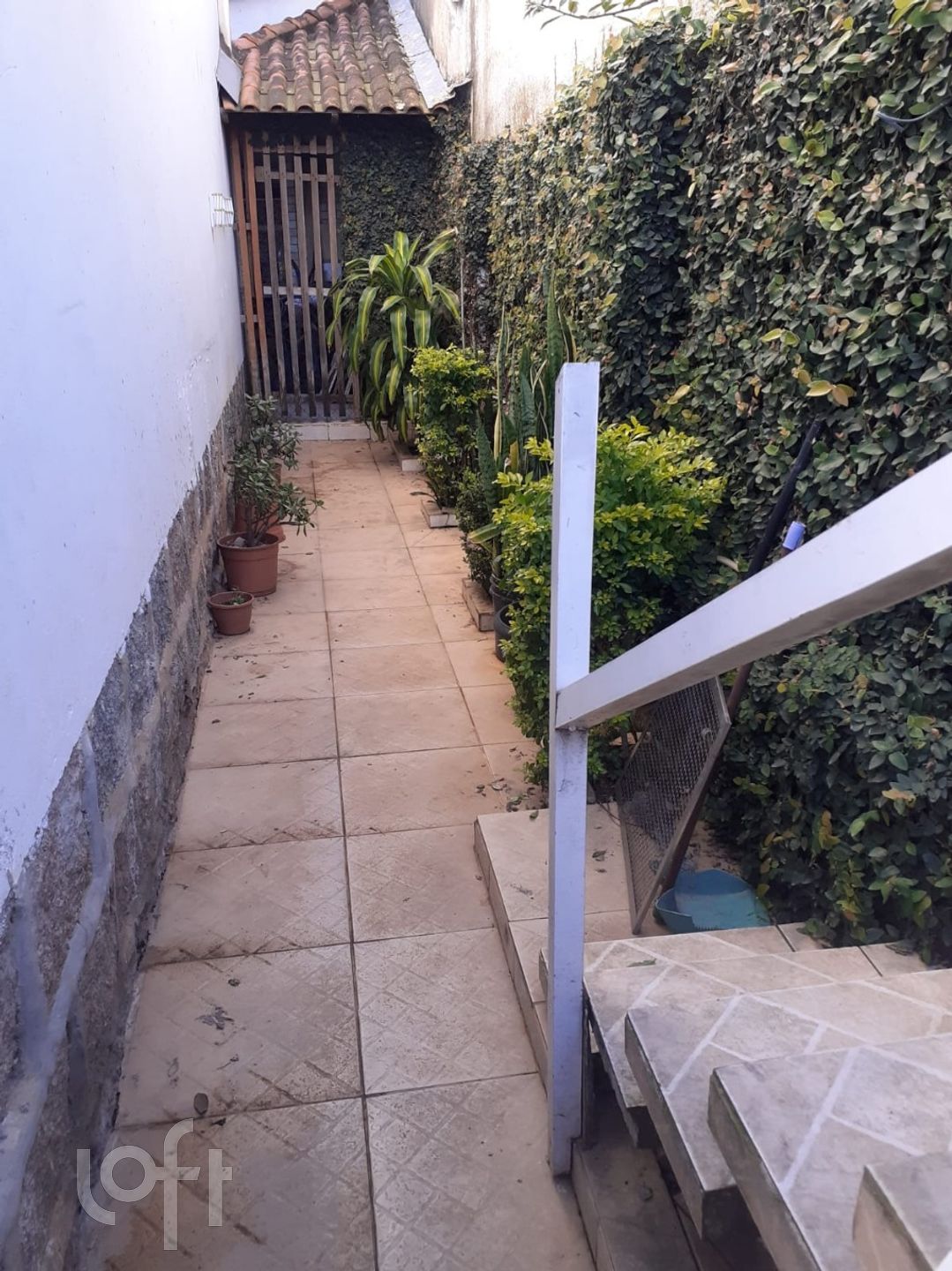 Imagem da propriedade 5