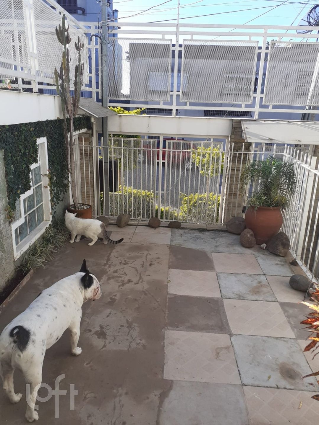 Imagem da propriedade 2