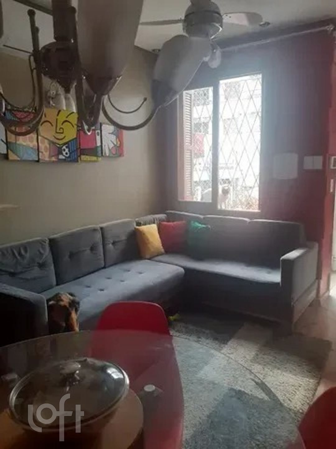 Imagem da propriedade 42