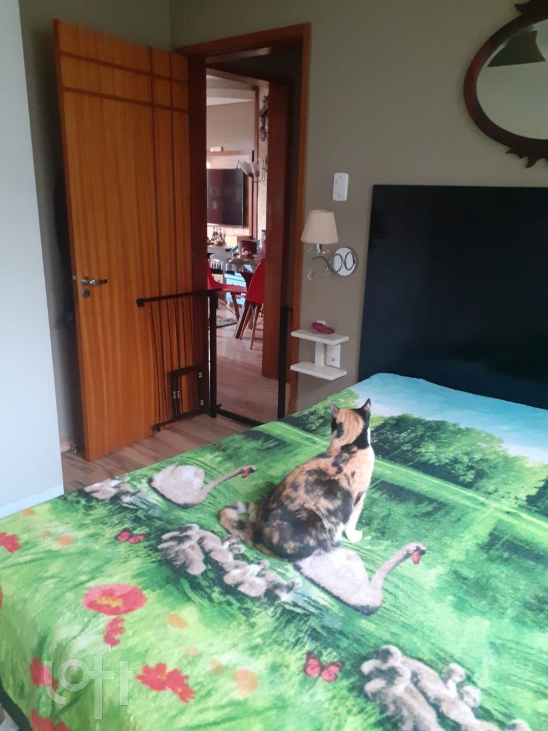 Imagem da propriedade 25